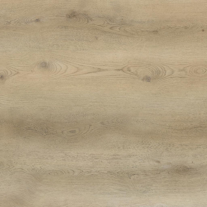 Klick Vinyl Eiche Feli mit Trittschalldämmung - Reud Bodenarena
