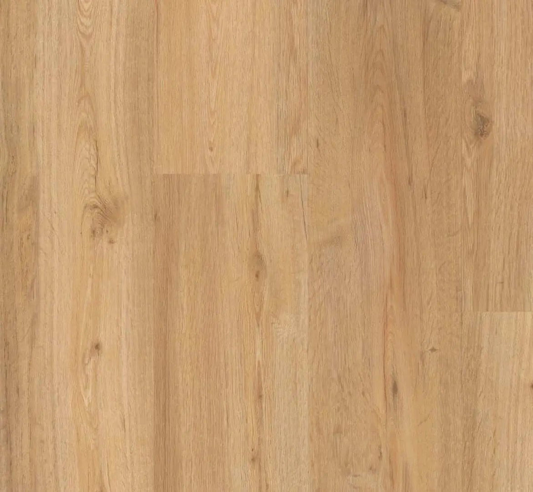 Parador Basic 30 Eiche natur Vinylboden HDF-Träger mit Trittschalldämmung