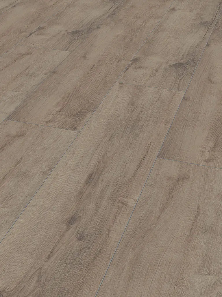 Jangal Zion Oak National Park Line Plus Laminatboden Klick