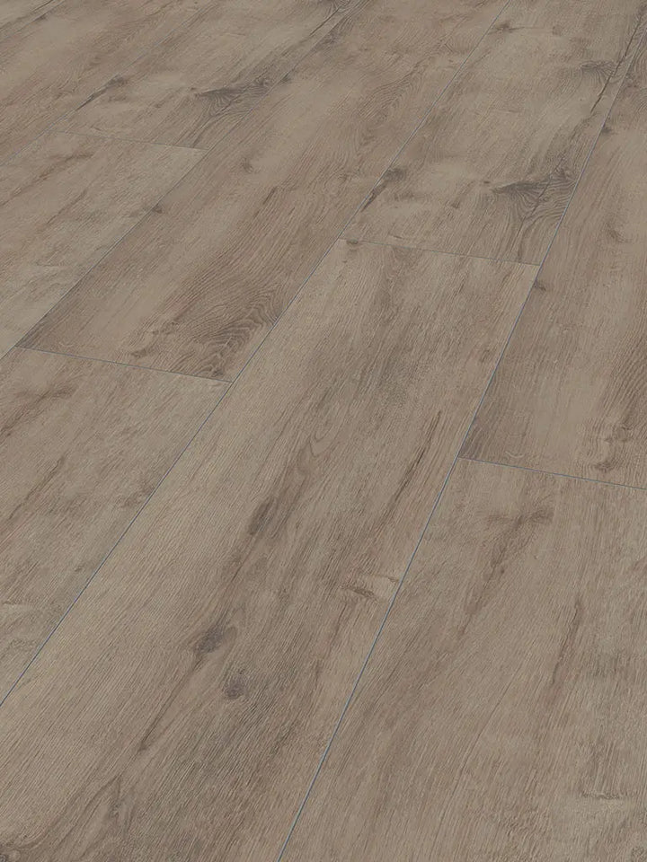 Jangal Zion Oak National Park Line Plus Laminatboden Klick